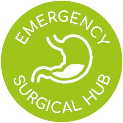 Emergency surgical hub