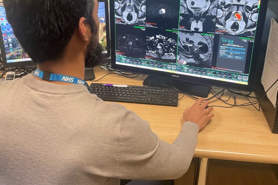 Prostate AI tool work station